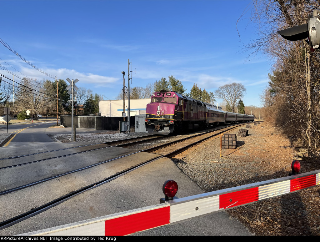 MBTA 1031